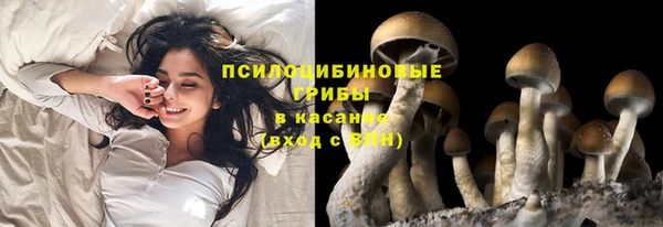 кокаин перу Алексин