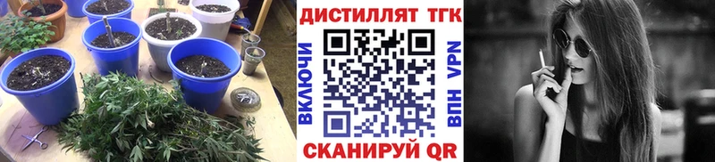 omg   наркошоп  Краснообск  ТГК Wax 