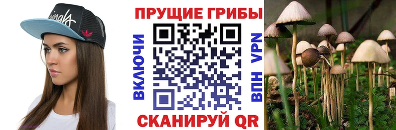 продажа наркотиков  Краснообск  Галлюциногенные грибы GOLDEN TEACHER 
